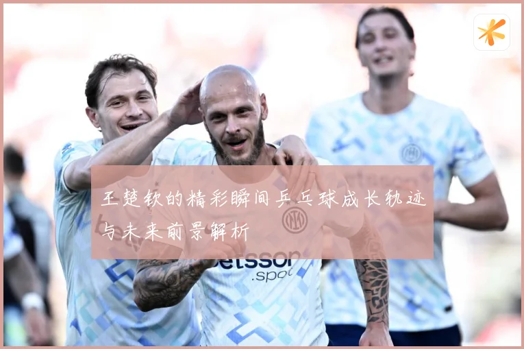 王楚钦的精彩瞬间乒乓球成长轨迹与未来前景解析