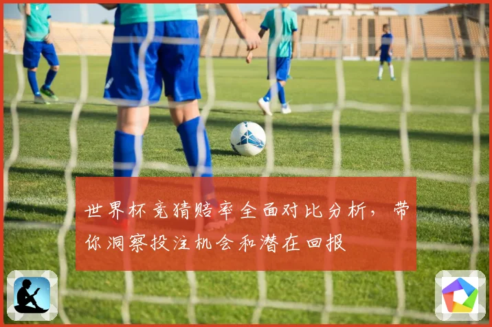 世界杯竞猜赔率全面对比分析，带你洞察投注机会和潜在回报