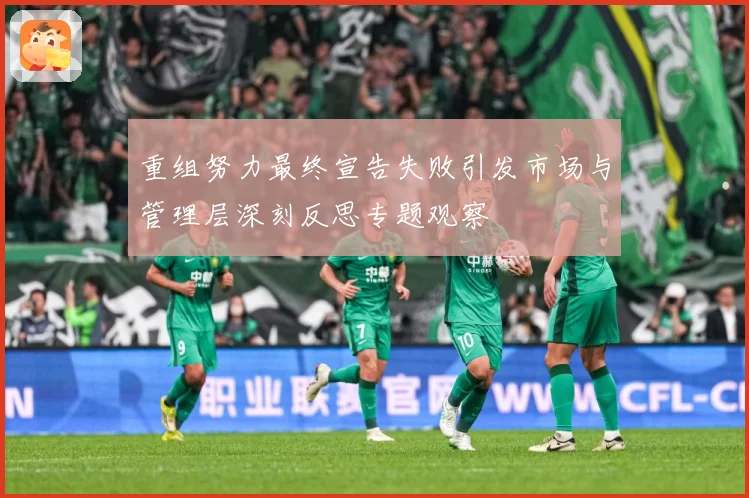 重组努力最终宣告失败引发市场与管理层深刻反思专题观察