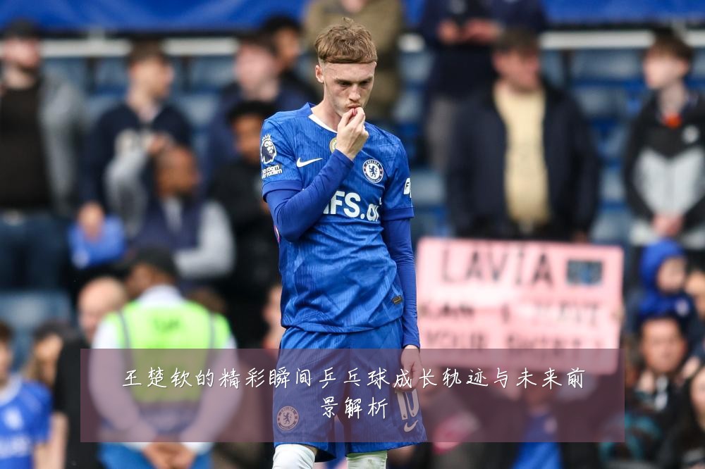 王楚钦的精彩瞬间乒乓球成长轨迹与未来前景解析