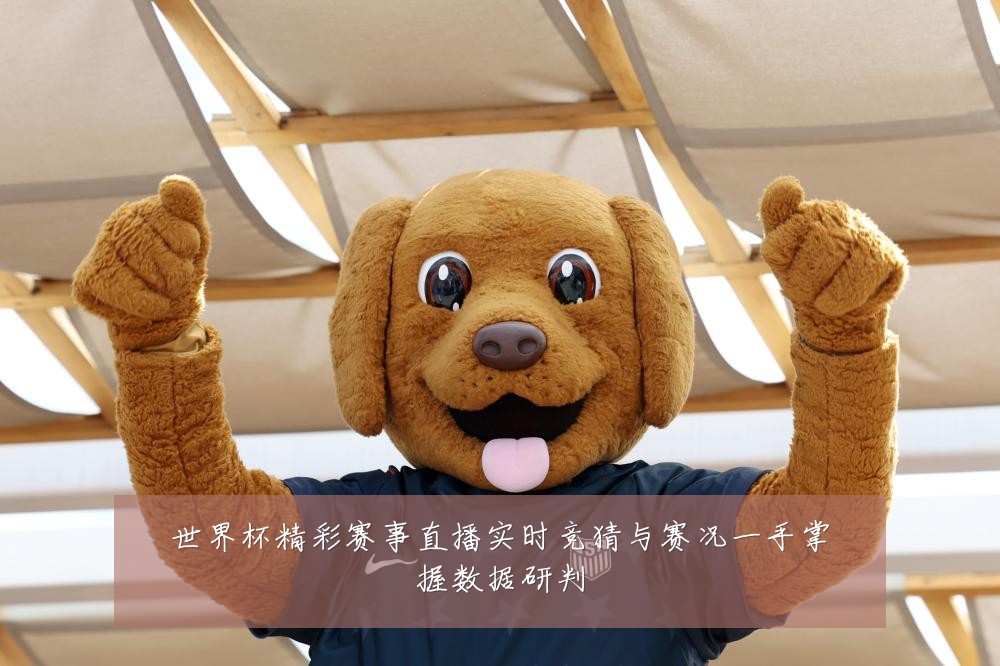 世界杯精彩赛事直播实时竞猜与赛况一手掌握数据研判