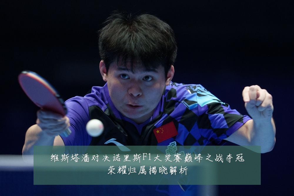 维斯塔潘对决诺里斯F1大奖赛巅峰之战夺冠荣耀归属揭晓解析
